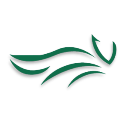 Logo Dra. Elizabeth Dacunte - Medicina Estética Formosa